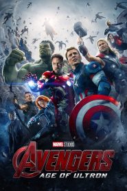 Avengers: Age of Ultron (2015) Dual Audio {Hindi-English} 480p [400MB] | 720p [1GB] | 1080p [2.7GB]