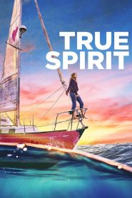 True Spirit (2023) Dual Audio [Hindi (ORG 5.1) + English] WEB-DL 1080p 720p & 480p [x264/HEVC 10bit] DD5.1 | Full Movie