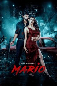 Mario (2025) WEB-DL [Hindi (DD2.0) & Telugu] 480p | 720p | 1080p [x264/ESubs] | Full Movie
