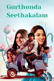 Gurthunda Seethakalam (2022) WEB-DL Hindi (HQ-Dub) 1080p 720p & 480p [x264/HEVC] | Full Movie
