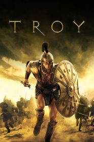Troy (2004) BluRay [Hindi ORG + English] 480p | 720p | 1080p [x264/ESubs] | Full Movie