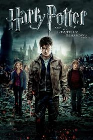 Harry Potter and the Deathly Hallows: Part 2 (2011) Dual Audio {Hindi-English} 480p [450MB] | 720p [1.2GB] | 1080p [2.6GB]