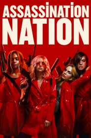 Assassination Nation (2018) Dual Audio {Hindi-English} 480p [400MB] | 720p [1GB] | 1080p [2.3GB]