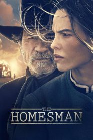 The Homesman (2014) BluRay [Hindi (DD2.0) & English] 480p | 720p | 1080p [x264/ESubs] | Full Movie