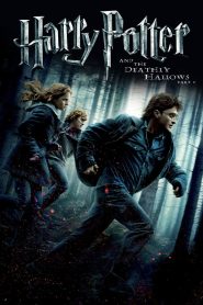 Harry Potter and the Deathly Hallows: Part 1 (2010) Dual Audio {Hindi-English} 480p [450MB] | 720p [1.2GB] | 1080p [2.8GB]