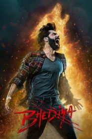 Bhediya (2022) v4-HDCAMRip Hindi Full Movie 480p [600MB] | 720p [1.5GB] | 1080p [3.3GB]