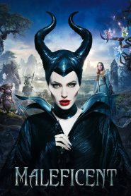 Maleficent (2014) Dual Audio [Hindi + English] WeB-DL 480p [350MB] | 720p [950MB] | 1080p [2GB]