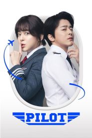 Pilot (2024) WEB-DL [Hindi (DD2.0) & Korean] 480p | 720p | 1080p [x264/ESubs] | Full Movie