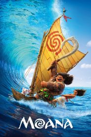 Moana (2016) BluRay [Hindi (DD5.1) & English] 480p | 720p | 1080p [x264/ESubs] | Full Movie