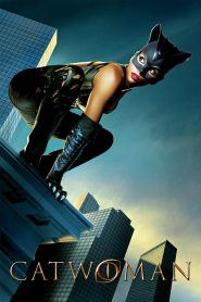 Catwoman (2004) Dual Audio {Hindi-English} 480p [350MB] | 720p [900MB] | 1080p [3.8GB]