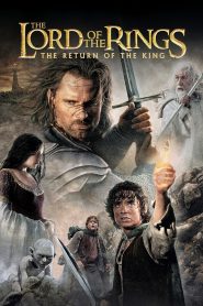 The Lord of the Rings: The Return of the King (2003) BluRay [Hindi (DD5.1) & English] 480p | 720p | 1080p [x264/ESubs] | Full Movie