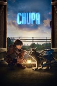 Chupa (2023) WEB-DL Dual Audio {Hindi-English} 480p [400MB] | 720p [600MB] | 1080p [2GB]