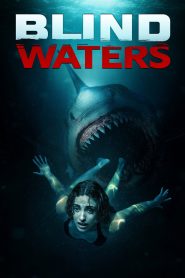 Blind Waters (2024) BluRay [Hindi AAC 2.0 + English] 480p | 720p | 1080p [x264/ESubs] | Full Movie