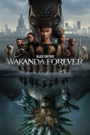 Black Panther: Wakanda Forever (2023) iMAX Dual Audio [Hindi DD5.1 – English] 480p [500MB] | 720p [1.4GB] | 1080p