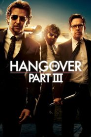 The Hangover Part III (2013) BluRay [Hindi (DD2.0) & English] 480p | 720p | 1080p [x264/ESubs] | Full Movie
